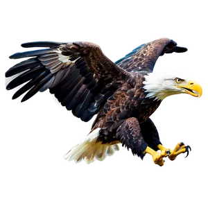 American Eagle Landing Png Jyf37 PNG Image