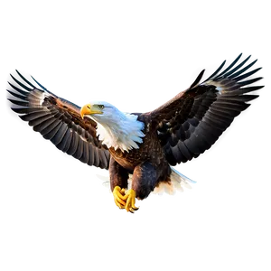 American Eagle Landing Png Yco16 PNG Image