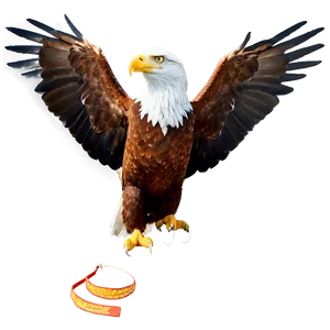 American Eagle Wings Spread Png Nsi3 PNG Image