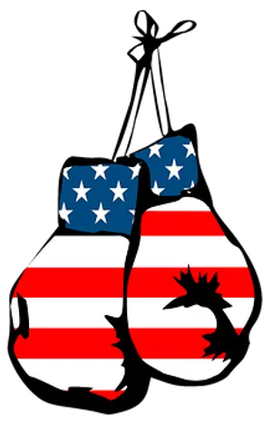 American Flag Boxing Gloves PNG Image