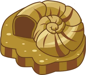 Ammonite Fossil Illustration PNG Image