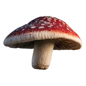 Ancient Fungi Png Loh PNG Image