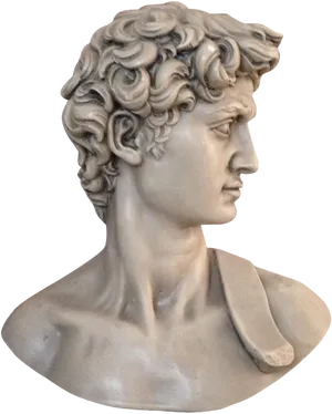 Ancient Roman Bust Sculpture PNG Image