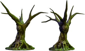 Ancient Tree Trunks Twin Display PNG Image