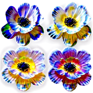 Anemone Pattern Png Jom51 PNG Image