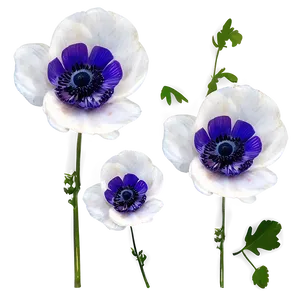 Anemone Wedding Decor Png 06252024 PNG Image