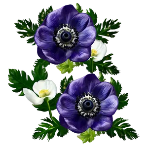 Anemone Wedding Decor Png 69 PNG Image