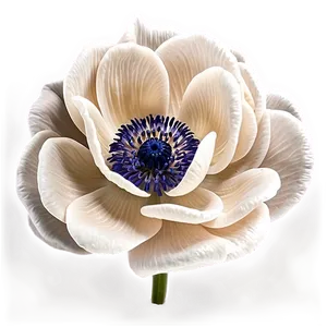 Anemone Wedding Decor Png Gop1 PNG Image