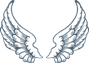 Angel Wings Graphic Design PNG Image