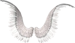 Angel Wings Spread Out PNG Image