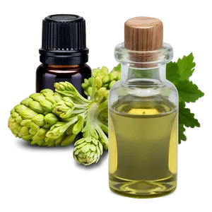 Angelica Essential Oil Png Bnf PNG Image