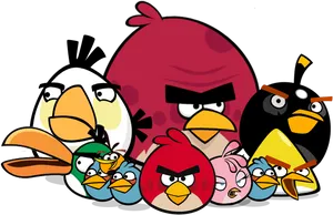 Angry Birds Characters Group PNG Image