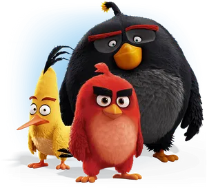 Angry Birds Characters Group Portrait PNG Image