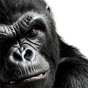 Angry Gorilla Eyes Png Qae PNG Image