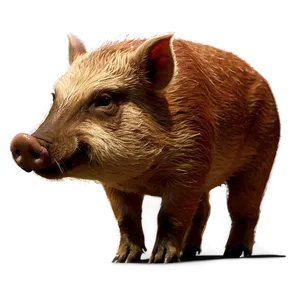 Angry Hog Png 06252024 PNG Image