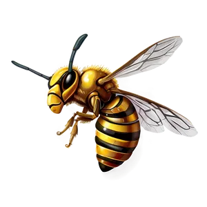 Angry Hornet Illustration Png Dws PNG Image