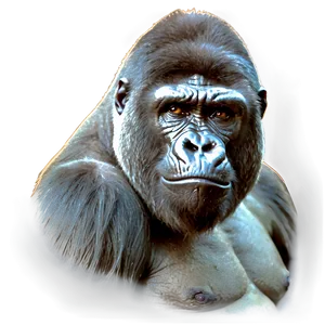 Angry Silverback Gorilla Png Sep PNG Image