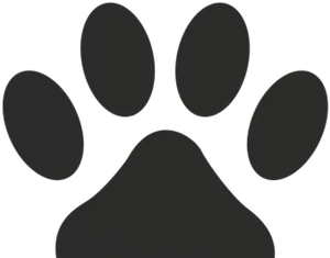 Animal Paw Print Graphic PNG Image