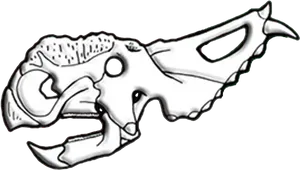 Animal_ Skull_ Illustration.png PNG Image