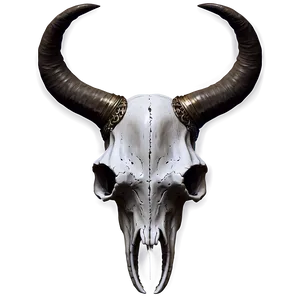 Animal Skull With Horns Png Mvv PNG Image