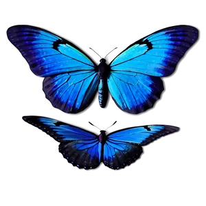 Animated Blue Butterflies Png Sem51 PNG Image