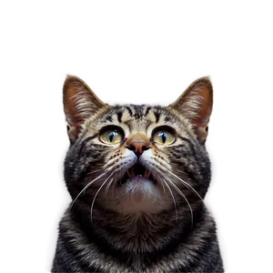 Animated Cat Filter Png 06282024 PNG Image