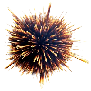 Animated Explosion Effect Png 66 PNG Image