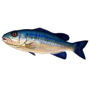 Animated Fish Transparent Png 47 PNG Image