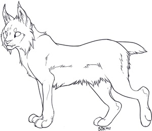 Animated Lynx Lineart PNG Image