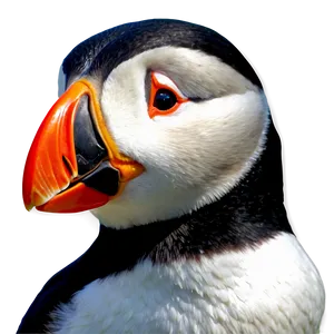 Animated Puffin Image Png Xlg PNG Image