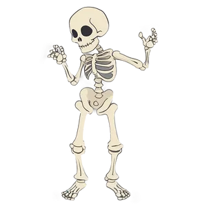 Animated Skeleton Cartoon Png 52 PNG Image