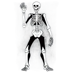 Animated Skeleton Cartoon Png Glb PNG Image