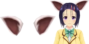 Anime Character With Cat Ears PNG Image