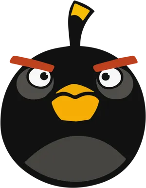 Annoyed Black Bird Cartoon Character PNG Image