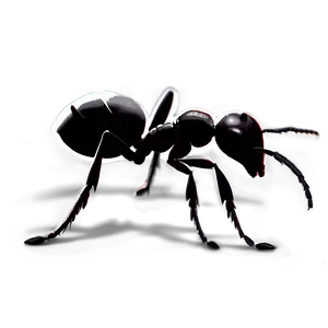 Ant Silhouette Png Gwk PNG Image