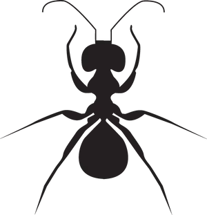 Ant_ Silhouette_ Vector_ Graphic PNG Image