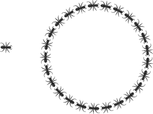 Ants_ Forming_ Circle_on_ Black_ Background PNG Image