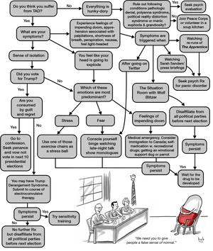 Anxiety Flowchart Satire PNG