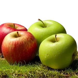 Apple Orchard Png Gry PNG Image