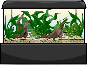 Aquarium Plantsand Driftwood Setup.png PNG Image