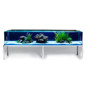 Aquarium Setup Png 78 PNG Image