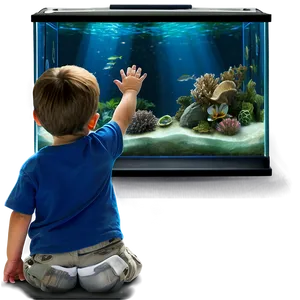 Aquarium Visit Field Trip Png 31 PNG Image