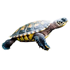 Aquatic Turtle Underwater Png Adc41 PNG Image