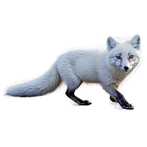 Arctic Fox Hunting Pose Png Pra PNG Image