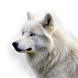 Arctic Wolf Habitat Png Vmv21 PNG Image