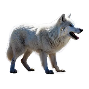 Arctic Wolf Illustration Png Kcs19 PNG Image