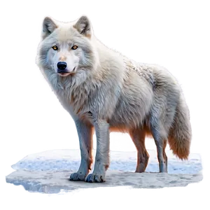 Arctic Wolf In Snow Png Xiw PNG Image