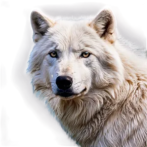 Arctic Wolf Portrait Png Dpb24 PNG Image