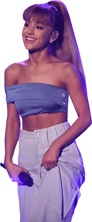 Ariana Grande Performance Outfit PNG Image