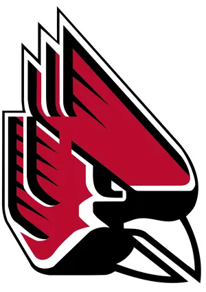 Arizona Cardinals Team Logo PNG Image